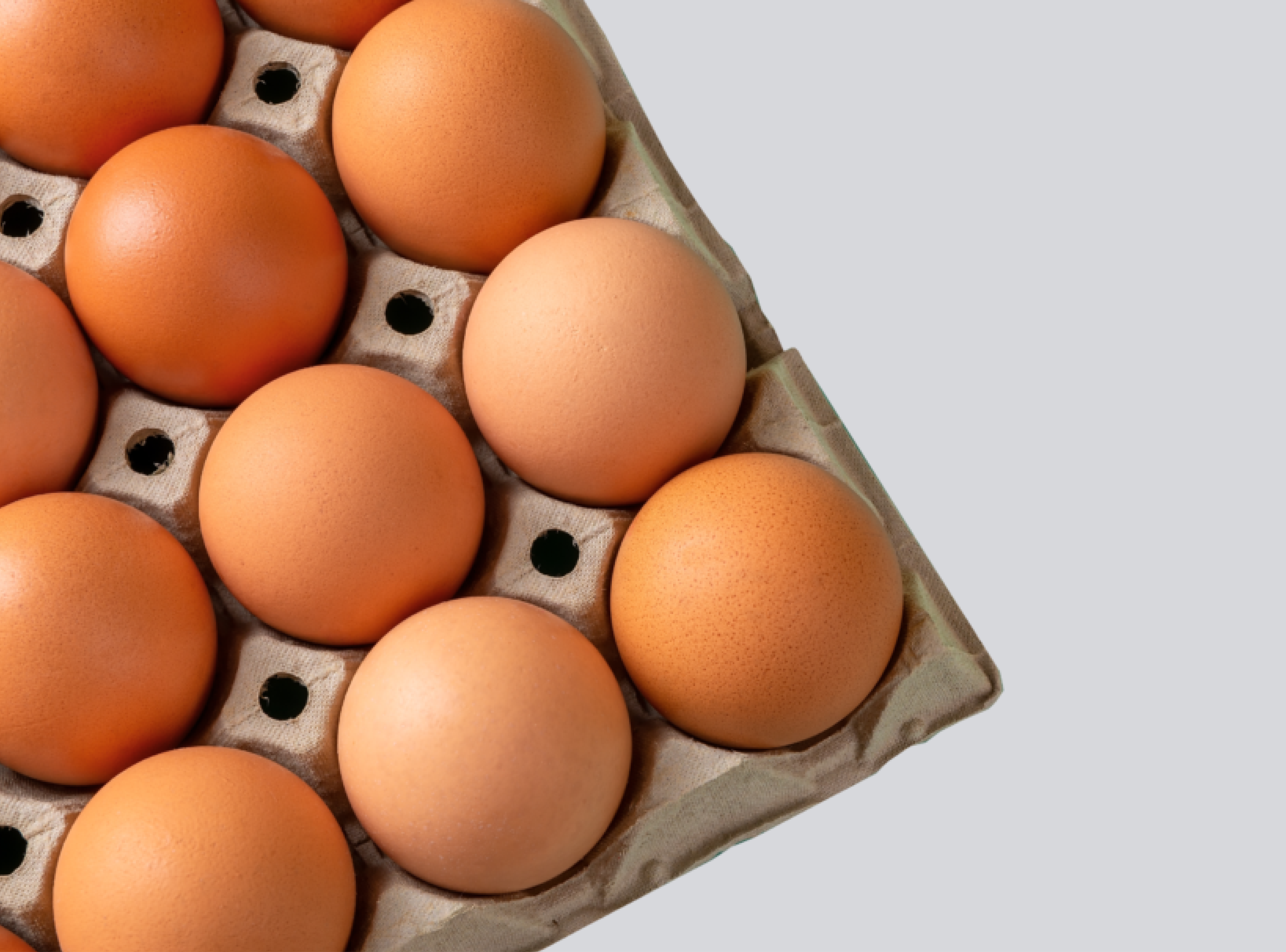 eggs