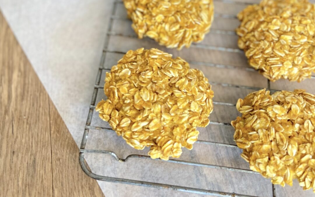 Healthy Pumpkin Oat Cookies to Share with Your Chickens
