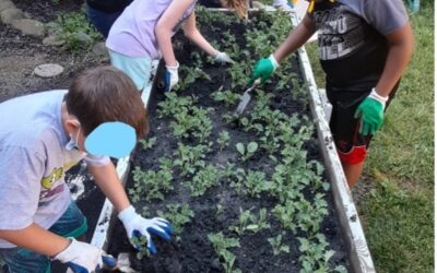 How Your Coops & Gardens Program Can Impact Your Community