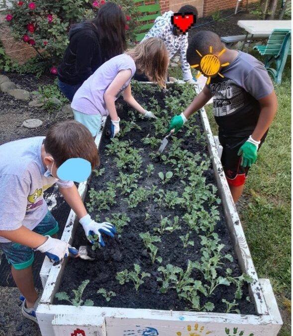 How Your Coops & Gardens Program Can Impact Your Community