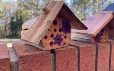 Make a DIY Solitary Bee House