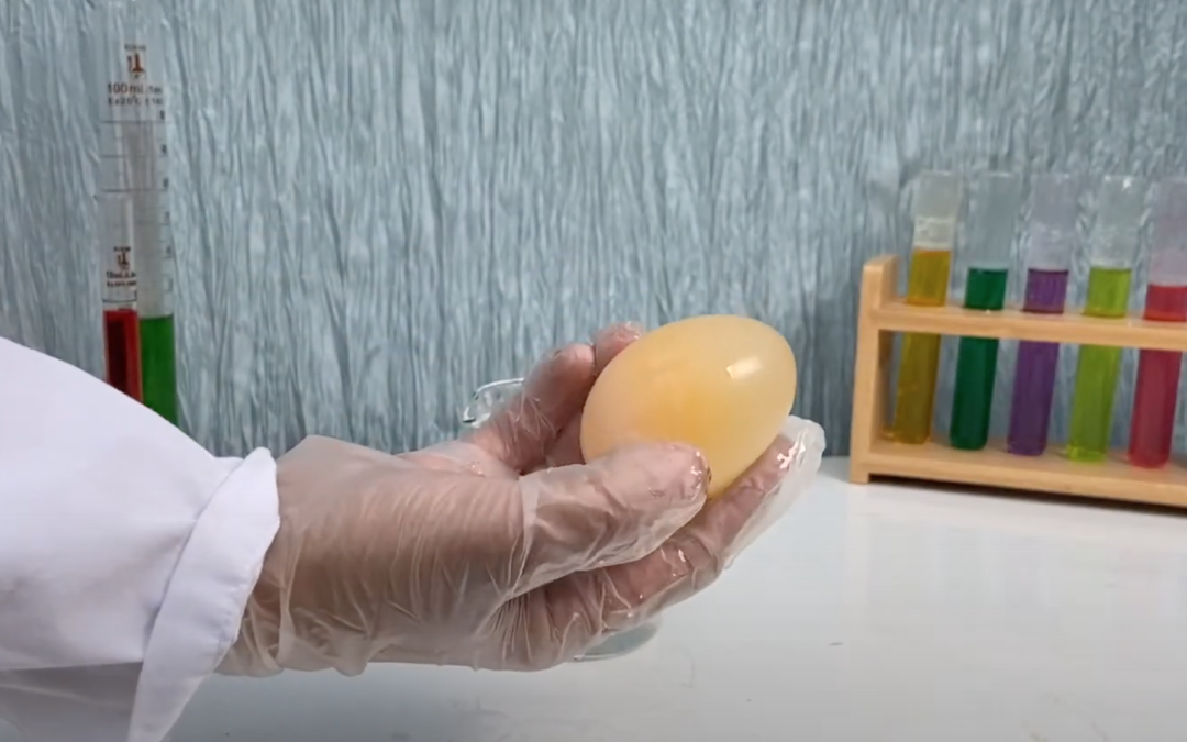 Bouncing Egg Experiment