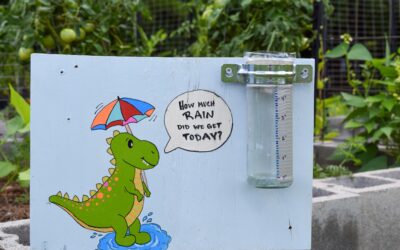 Garden Science: Rain Gauge Experiment